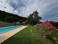 STELLA - Pool Oleander