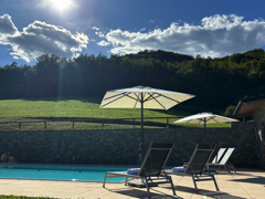 STELLA - Pool Sonnenliegen Sonnenschirme